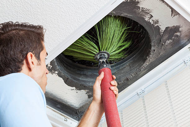 Best Commercial Air Duct Cleaning  in Spring Valley, AZ